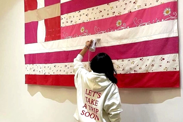 Ο Γεραπετρίτης δέχεται τη ροζ ελληνική σημαία μόνο σε ιδιωτική γκαλερί