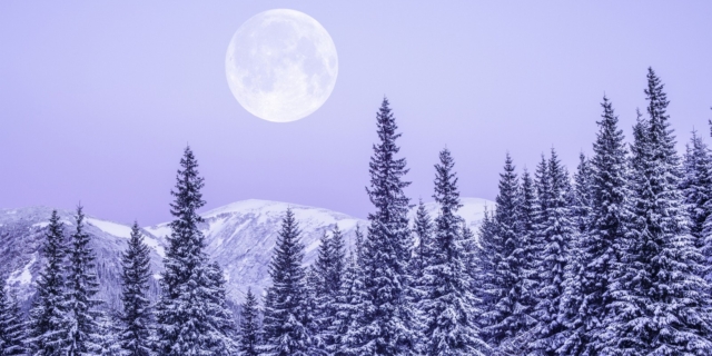 Moonrise