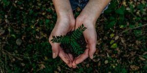 Γεωθερμία, αντλίες θερμότητας και βιομάζα, οι «πράσινες» μορφές θέρμανσης
