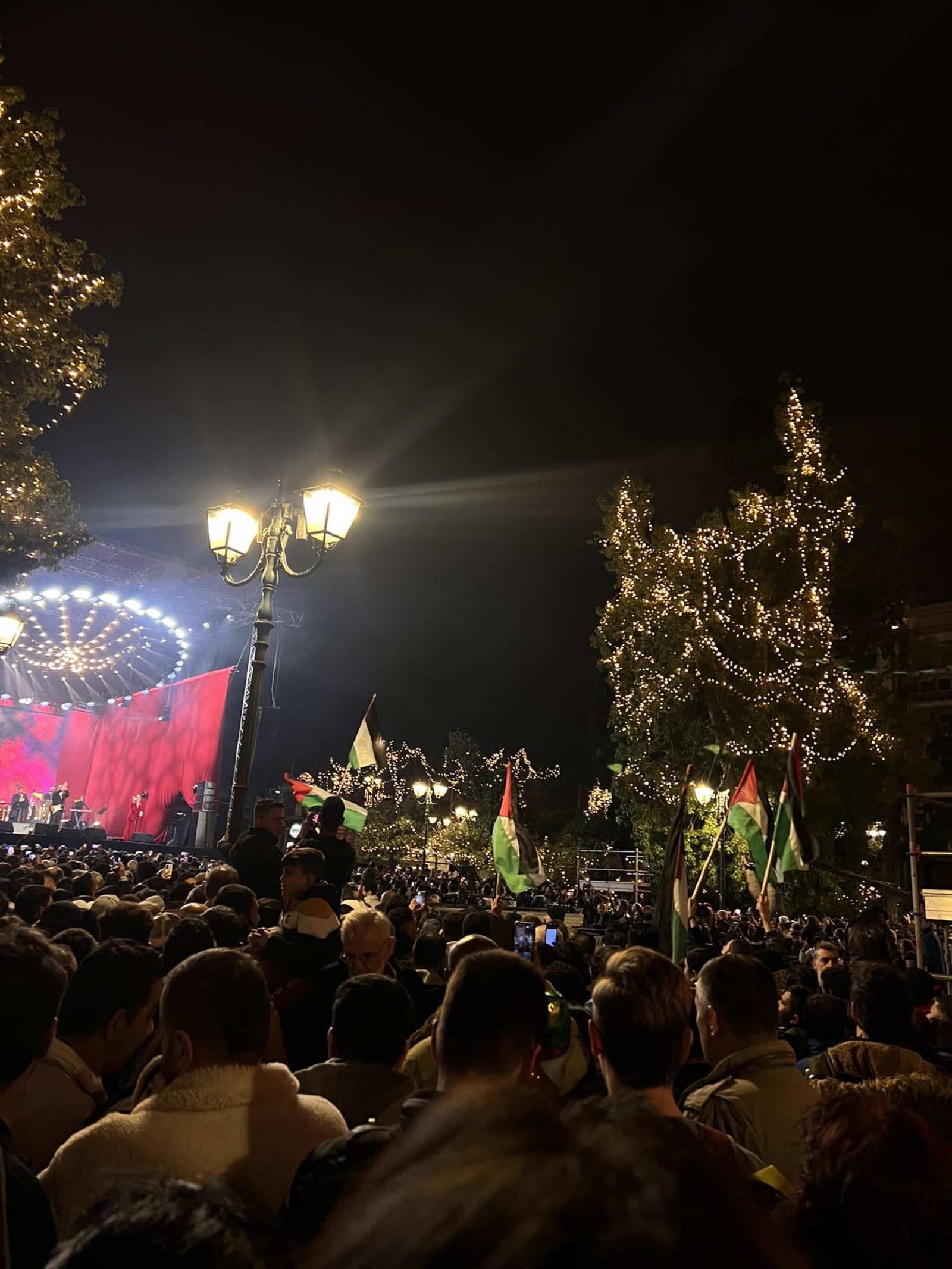 Σημαίες της Παλαιστίνης στην πλατεία Συντάγματος