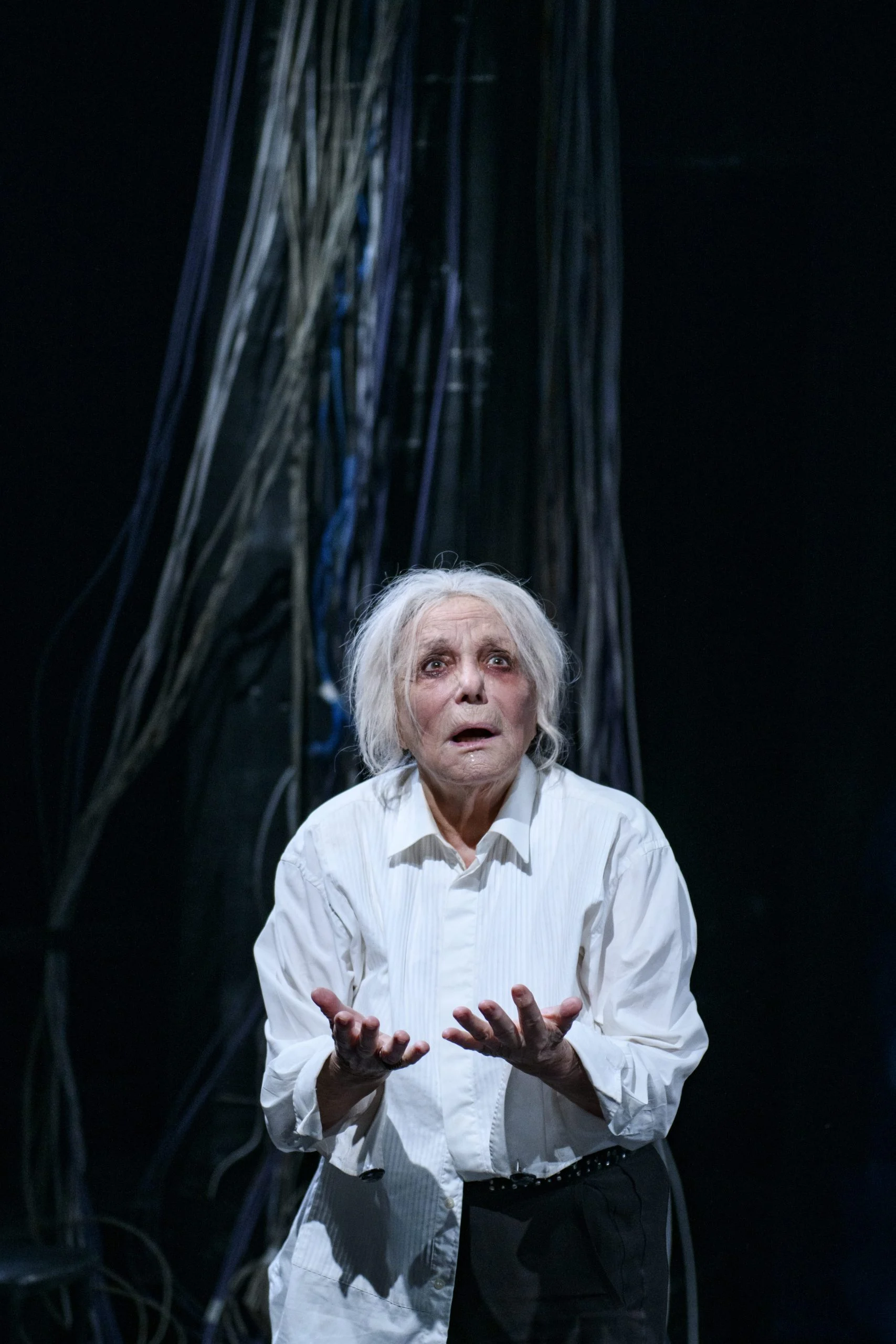 Ο Βασιλιάς Ληρ- Στάθης Λιβαθινός