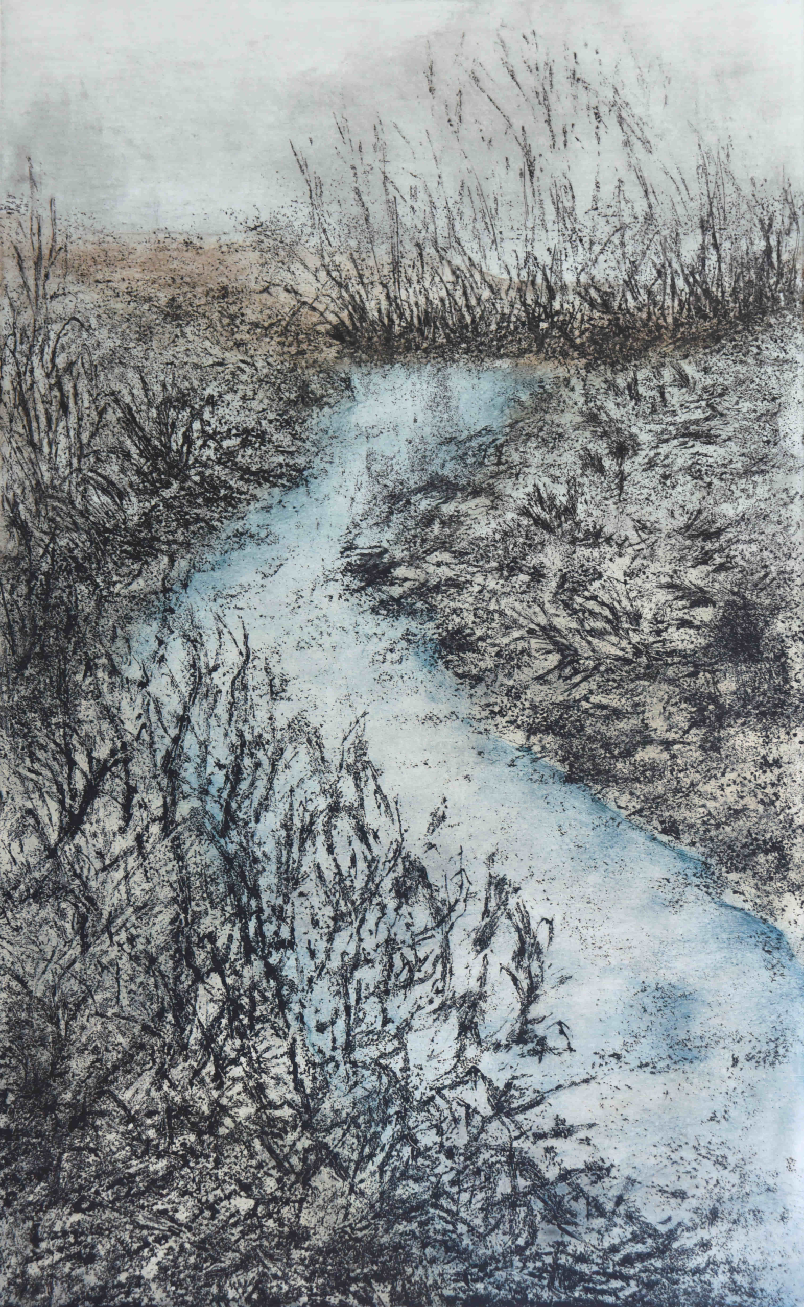 Τάνια Δρογώση