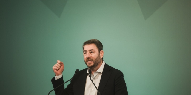 Ο Νίκος Ανδρουλάκης
