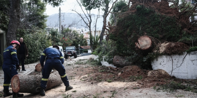 Κακοκαιρία: Περισσότερες από 480 κλήσεις στην Πυροσβεστική για κοπές δέντρων