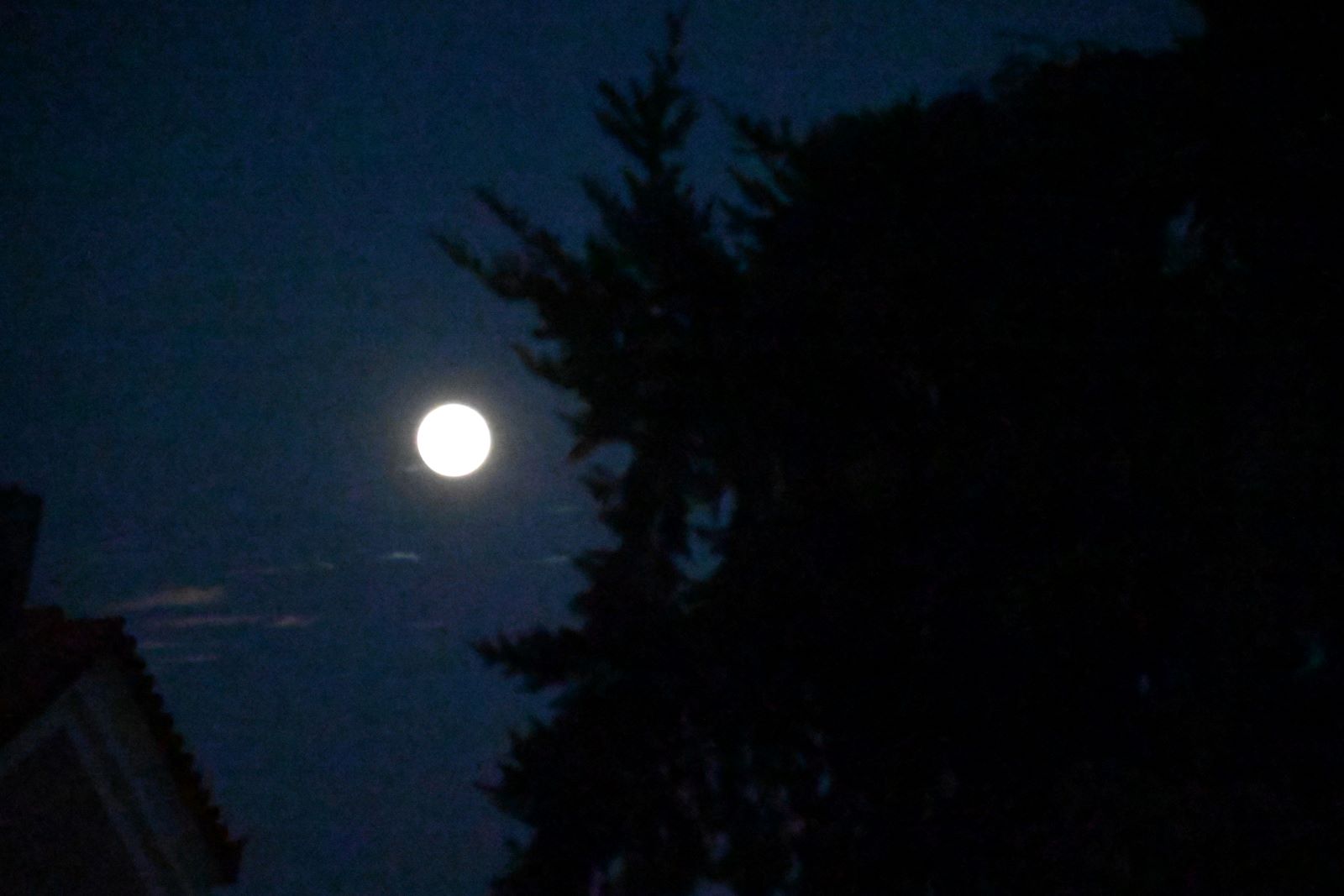 Πανσέληνος