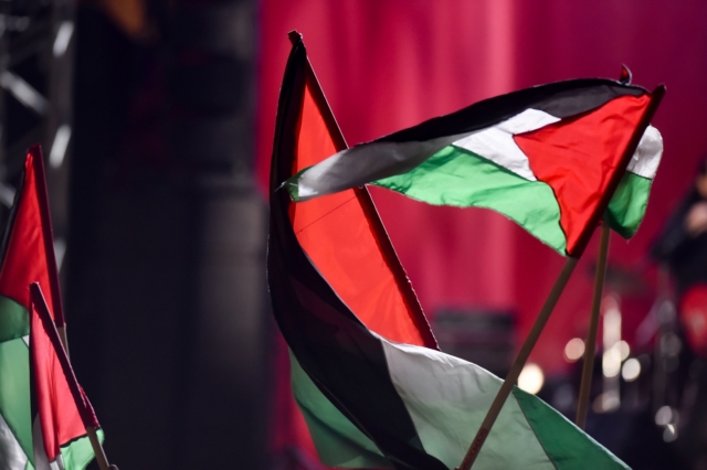 Σημαίες της Παλαιστίνης την Πρωτοχρονιά στο Σύνταγμα