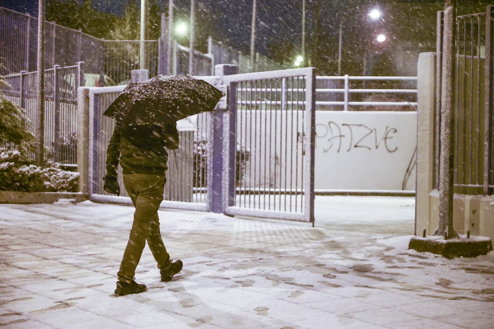 ΧΙΟΝΟΠΤΩΣΗ ΣΤΑ ΠΕΥΚΑ ΚΑΙ ΣΤΗΝ ΑΝΩ ΠΟΛΗ ΤΗΣ ΘΕΣΣΑΛΟΝΙΚΗΣ