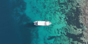 Vodafone Posidonia: Μια συντονισμένη δράση χαρτογράφησης για τη την ανάδειξη και προστασία της Ποσειδωνίας