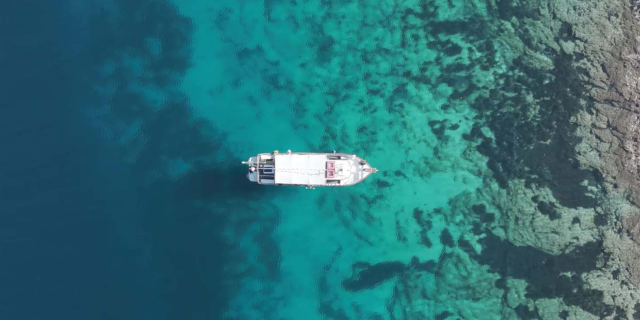 Vodafone Posidonia: Μια συντονισμένη δράση χαρτογράφησης για τη την ανάδειξη και προστασία της Ποσειδωνίας