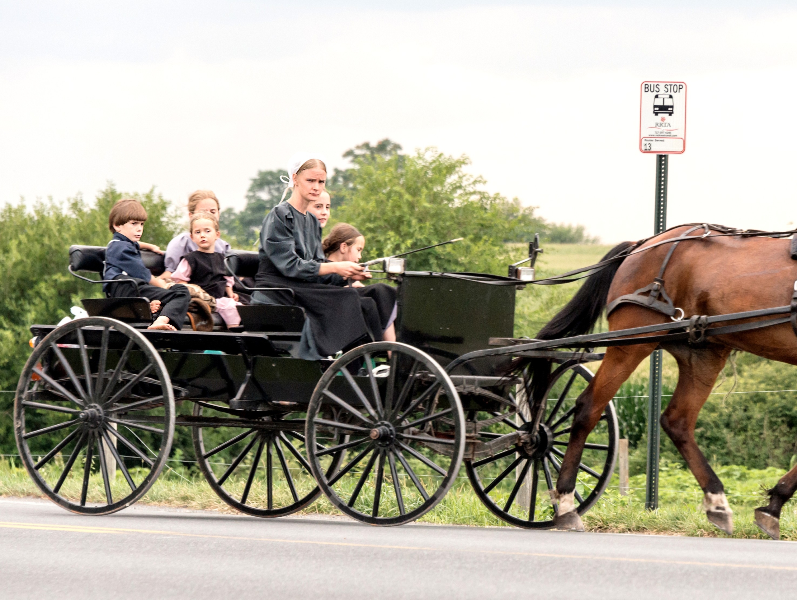 Οικογένεια Άμις