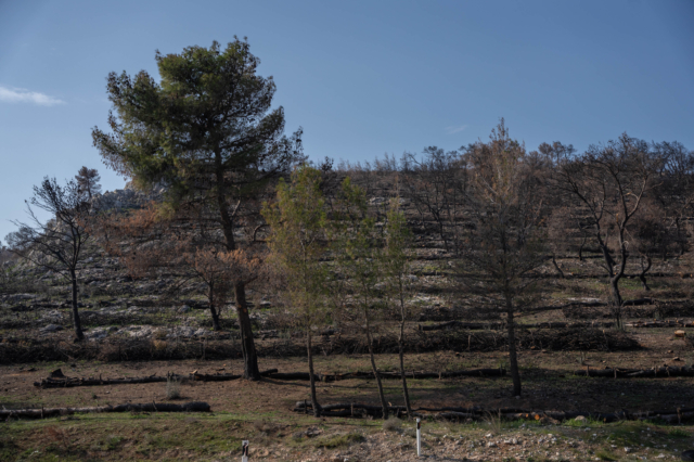 ΤΕΡΝΑ: Χρηματοδότηση αντιδιαβρωτικών έργων 1 εκατ. ευρώ για τη Μάνδρα