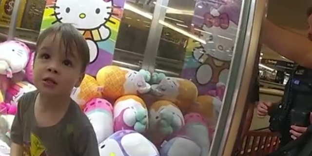 Τρίχονος εγκλωβίστηκε σε μηχάνημα με λούτρινα