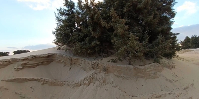 Νάξος: Γιατί ο Δήμος είναι έκθετος για την αμμοληψία σε περιοχή Νatura στο Πυργάκι