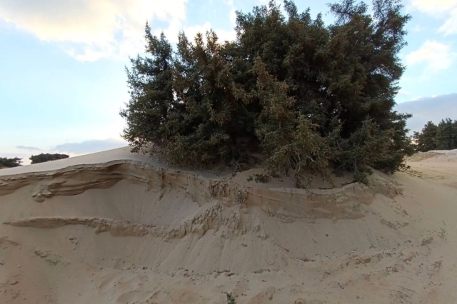 Νάξος: Γιατί ο Δήμος είναι έκθετος για την αμμοληψία σε περιοχή Νatura στο Πυργάκι