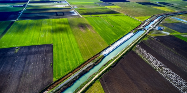 Φωτό αρχείου