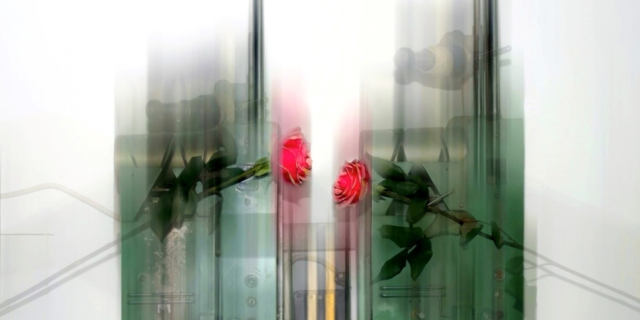 «Beyond lens / Art unleashed»: Η μαγική φωτογραφική ματιά του Αλέξανδρου Εμμανουηλίδη στο Moxy Athens