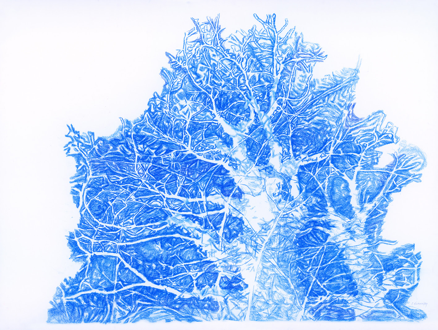 Έλλη Κουτσουκέλλη