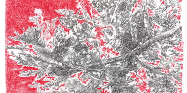 Έλλη Κουτσουκέλλη