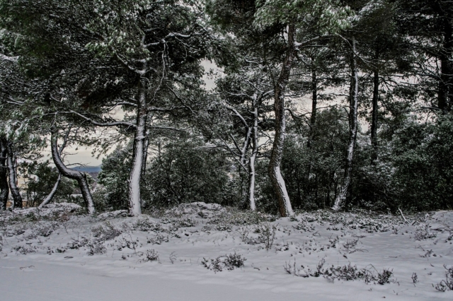 Χιόνια στην Πάρνηθα (Φωτογραφία αρχείου)