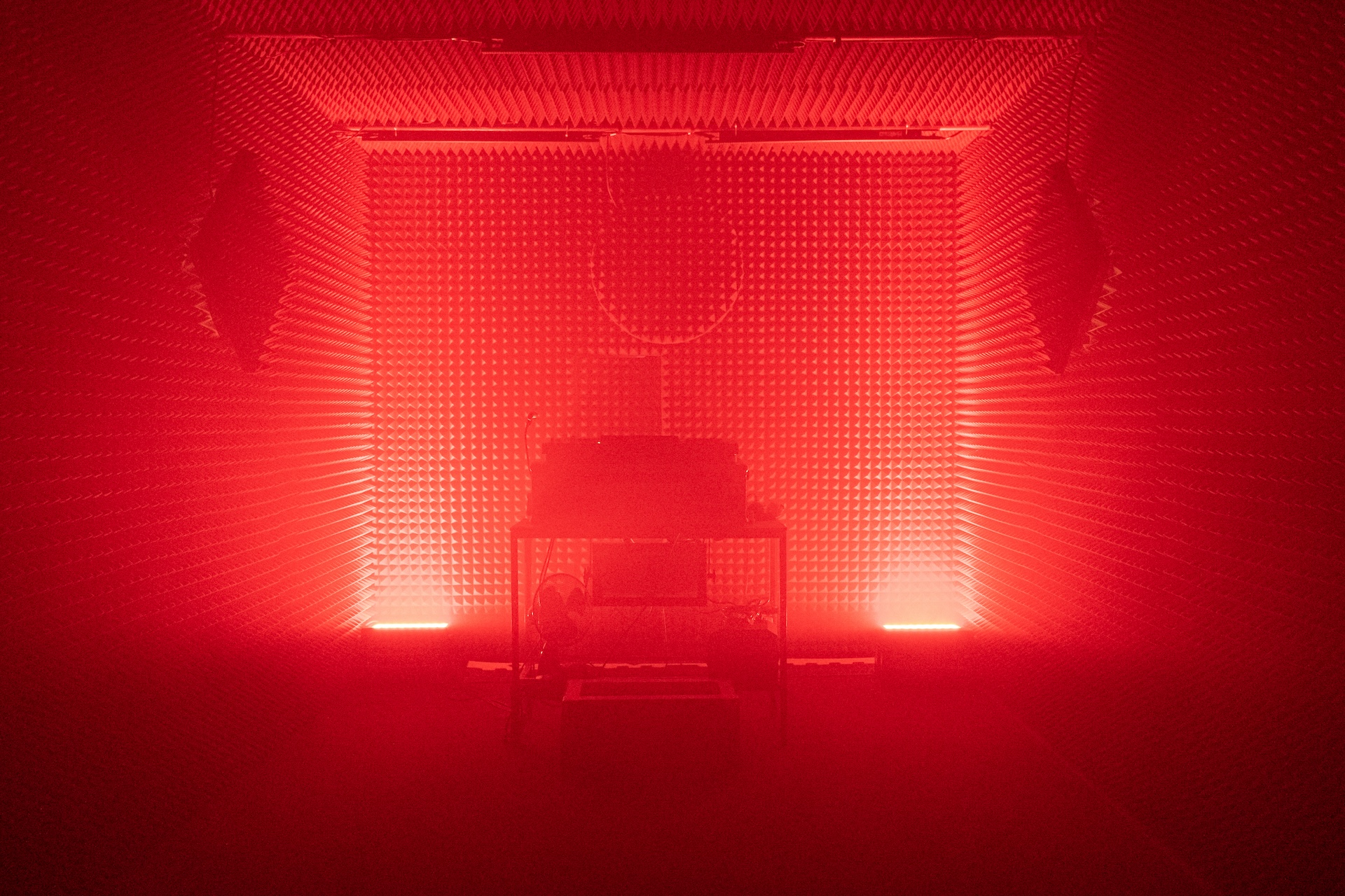 Lukasz Twarkowski, Respublika