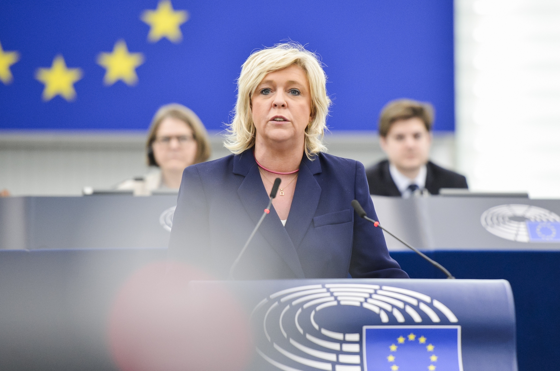 VAUTMANS, Hilde (Renew, BE)