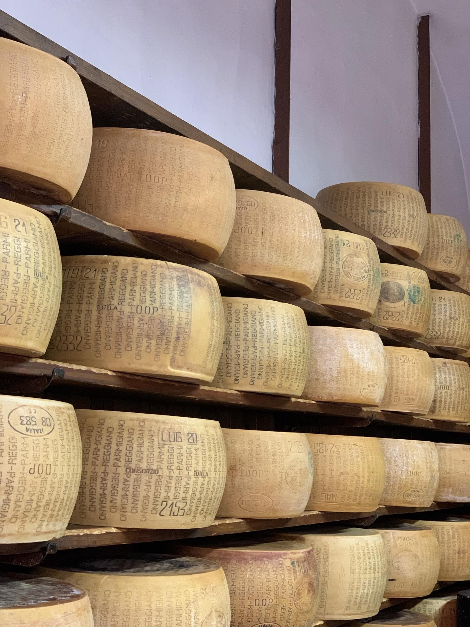 O παράδεισος του τυριού στη Μπολόνια