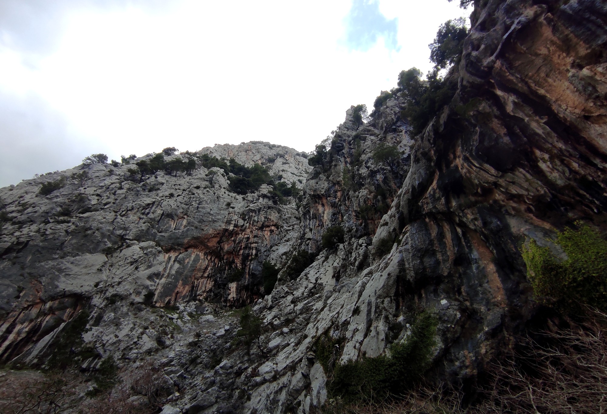 Φαράγγι Αγάλης, Εύβοια