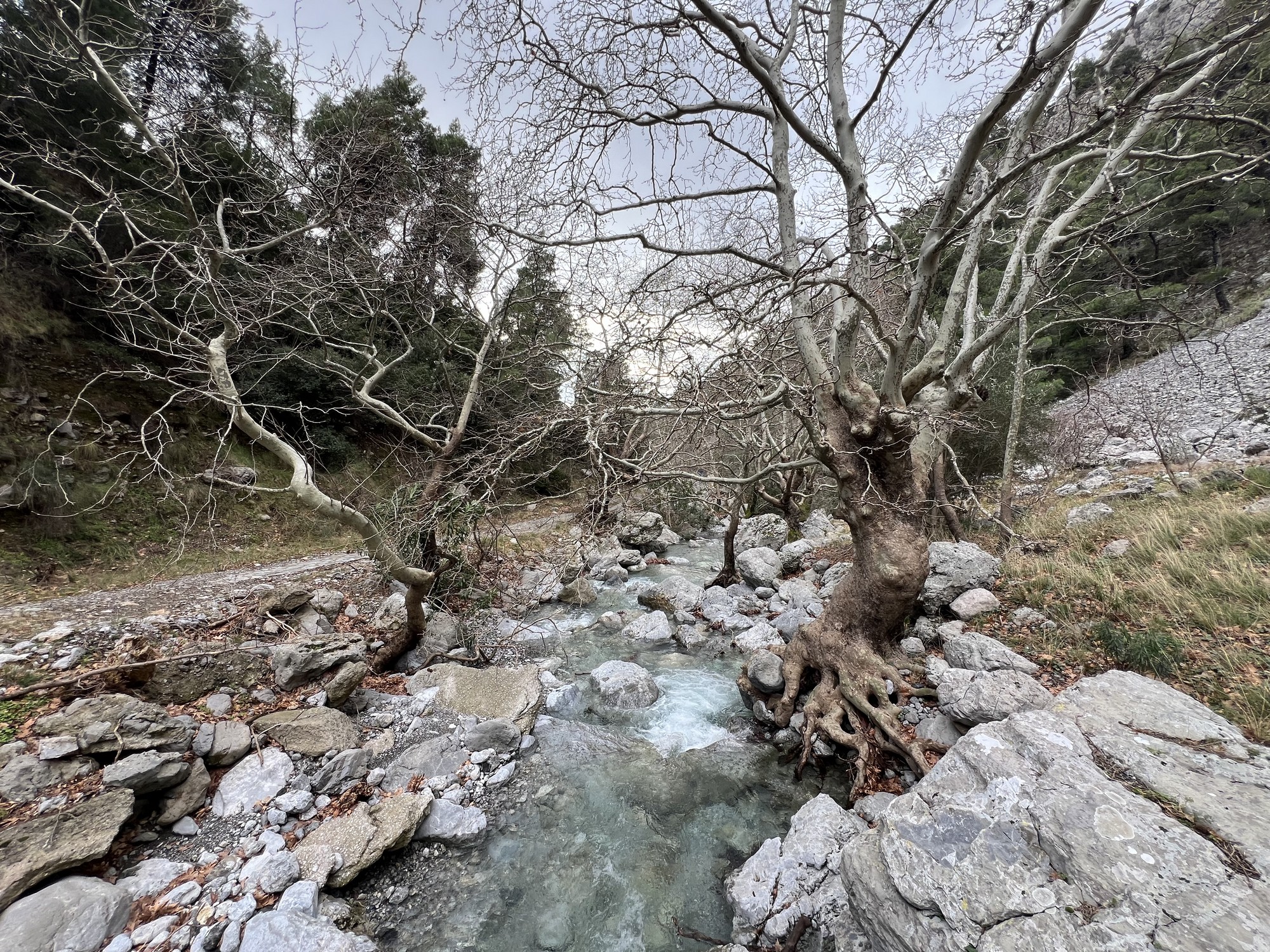 Φαράγγι Αγάλης, Εύβοια