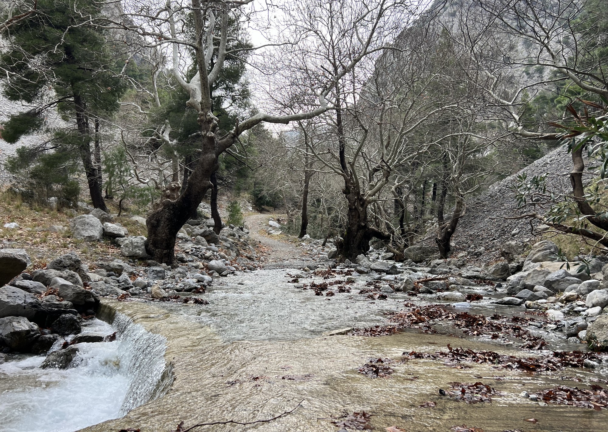Φαράγγι Αγάλης, Εύβοια
