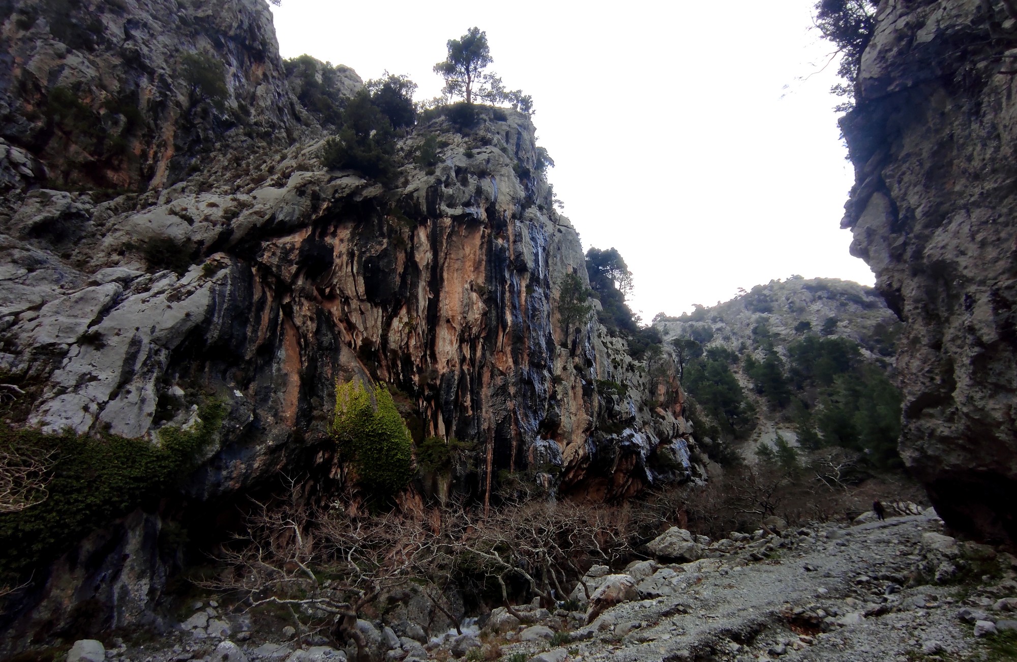 Φαράγγι Αγάλης, Εύβοια