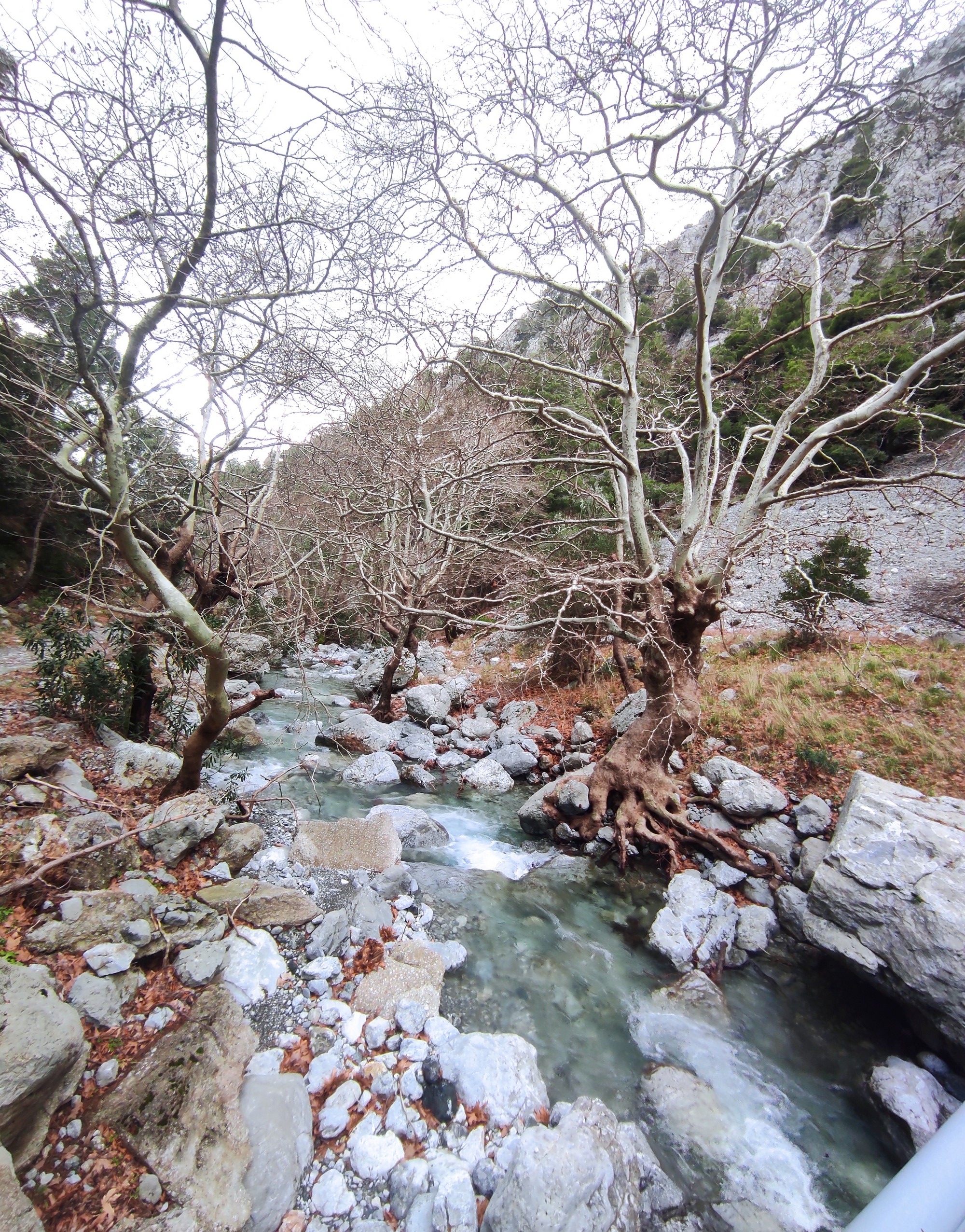 Φαράγγι Αγάλης, Εύβοια