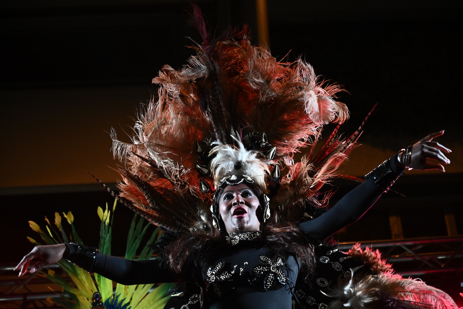 Αναβίωση του Καρναβαλιού στην Πλάκα, Κυριακή 17 Μαρτίου 2024. Πρόκειται για δράση του Επαγγελματικού Επιμελητηρίου Αθηνών με την υποστήριξη του δήμου Αθηναίων. 