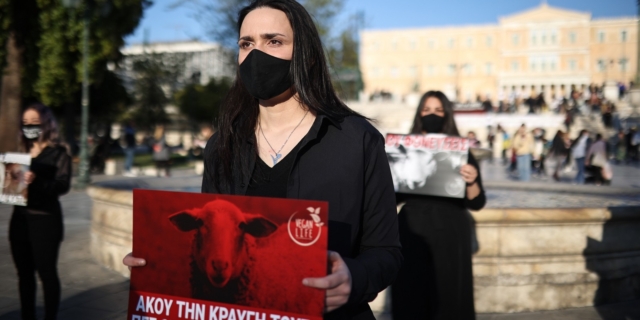 Διαμαρτυρία για τη σφαγή ζώων