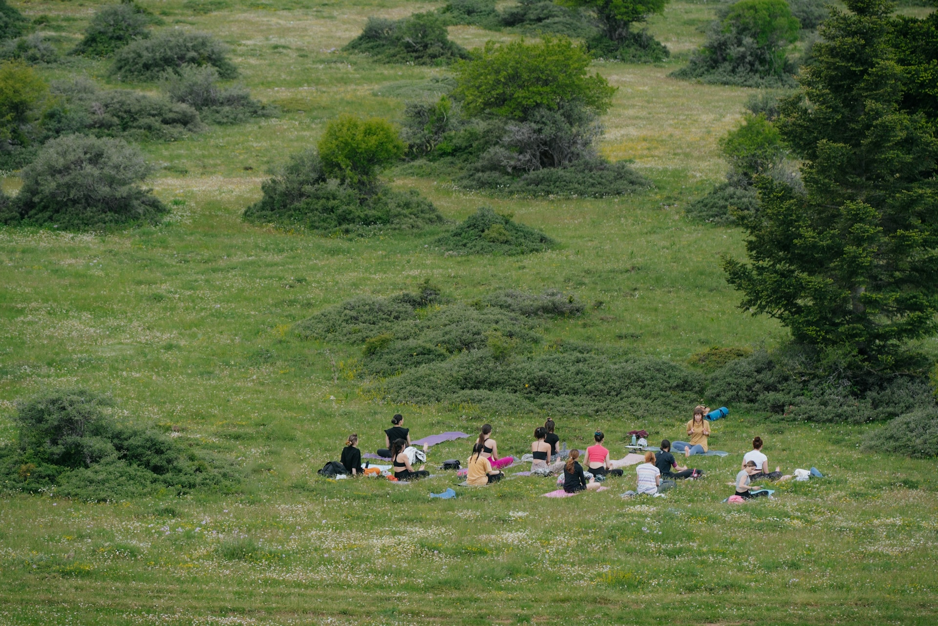 Helmos Mountain Festival