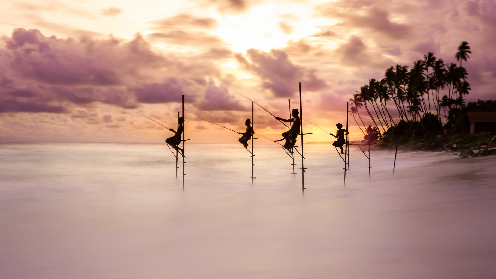 Traditional stilt fishermen try their luck at sunset – Koggala, Sri Lanka