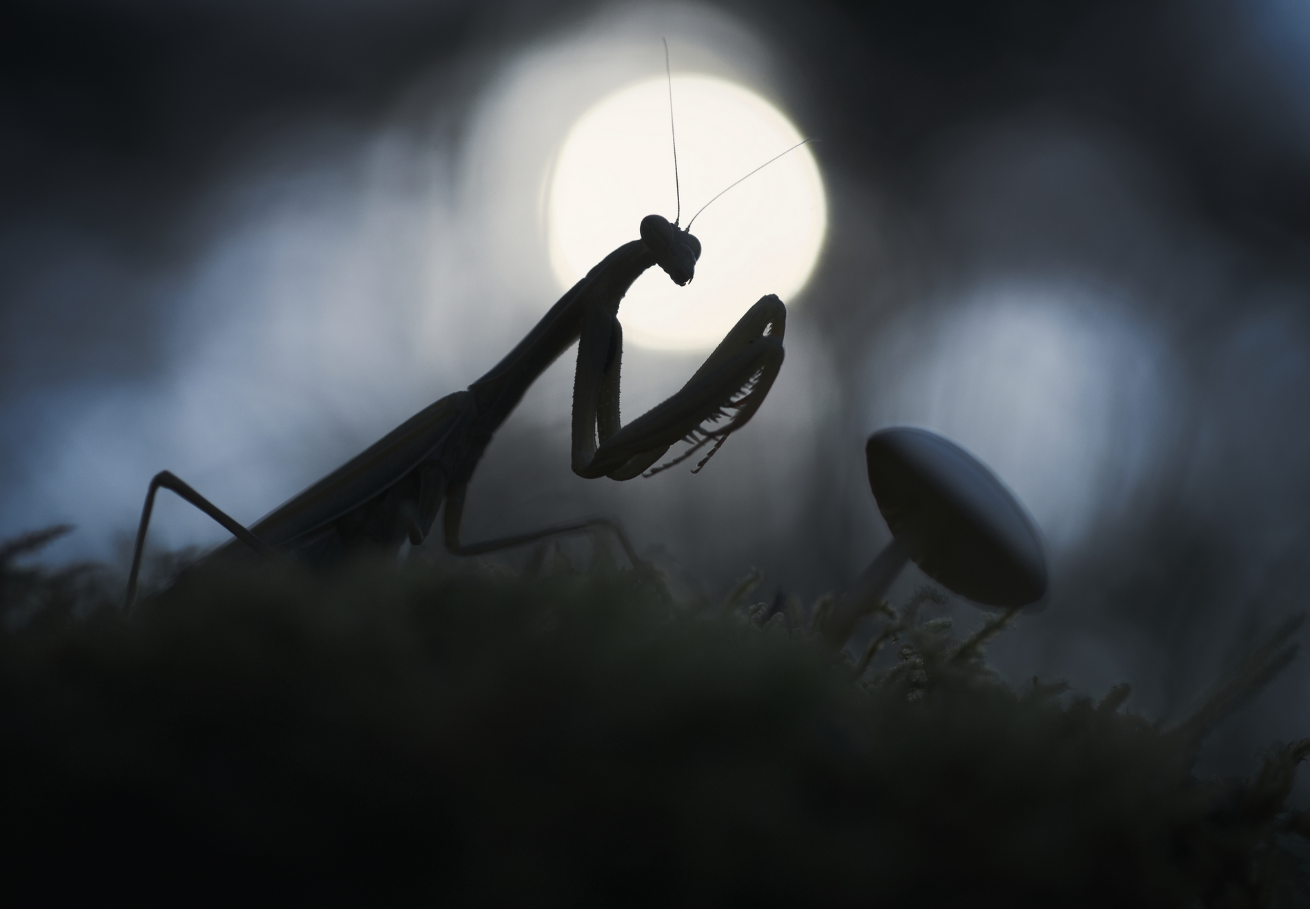 Not so silent hill – Servia, Greece