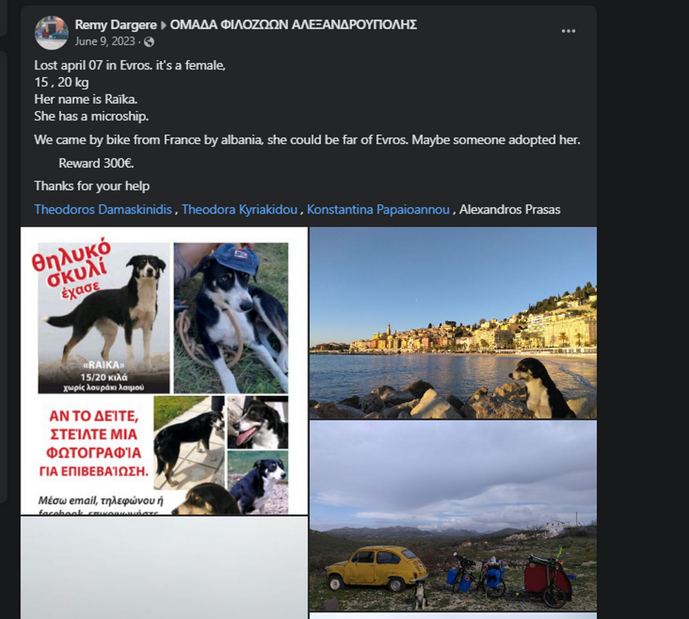 Screenshot 257
