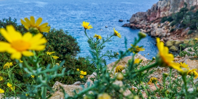Ανοιξιάτικος καιρός