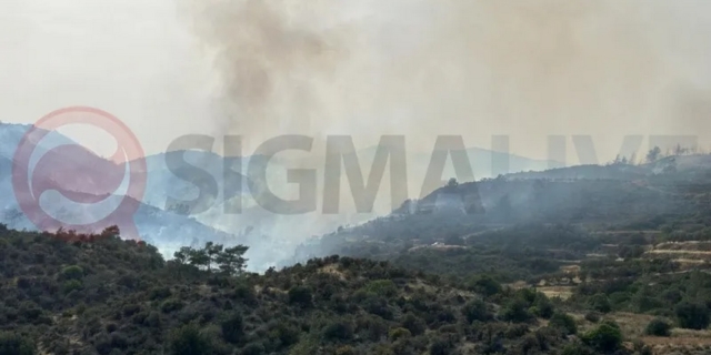 Φωτιά στο Κρατικό Δάσος Λεμεσού