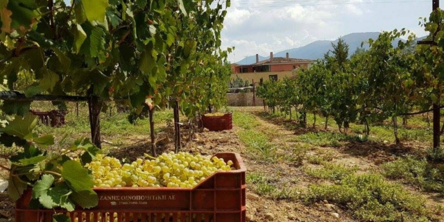 Οινοποιείο Λαφαζάνης