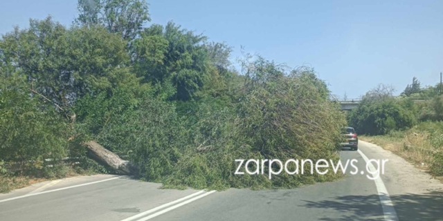 Πτώση δέντρου στον ΒΟΑΚ στα Χανιά