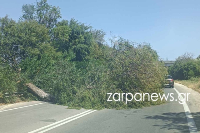 Πτώση δέντρου στον ΒΟΑΚ στα Χανιά