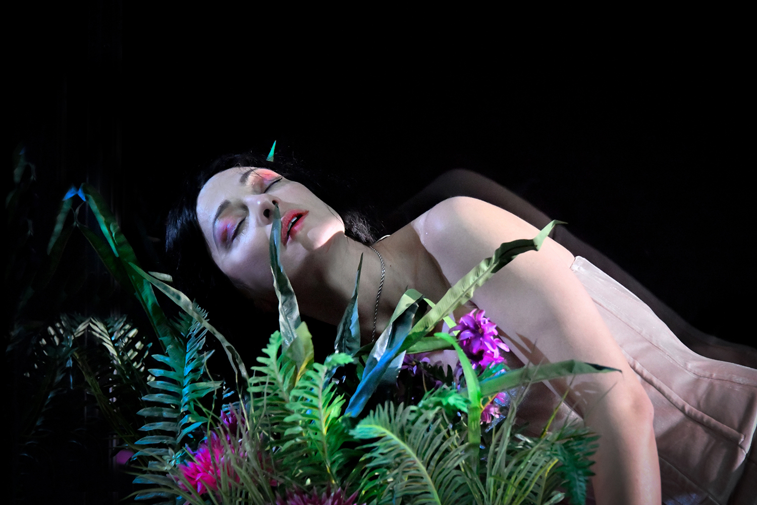 Amalia melancholia, η βασίλισσα των φοινίκων