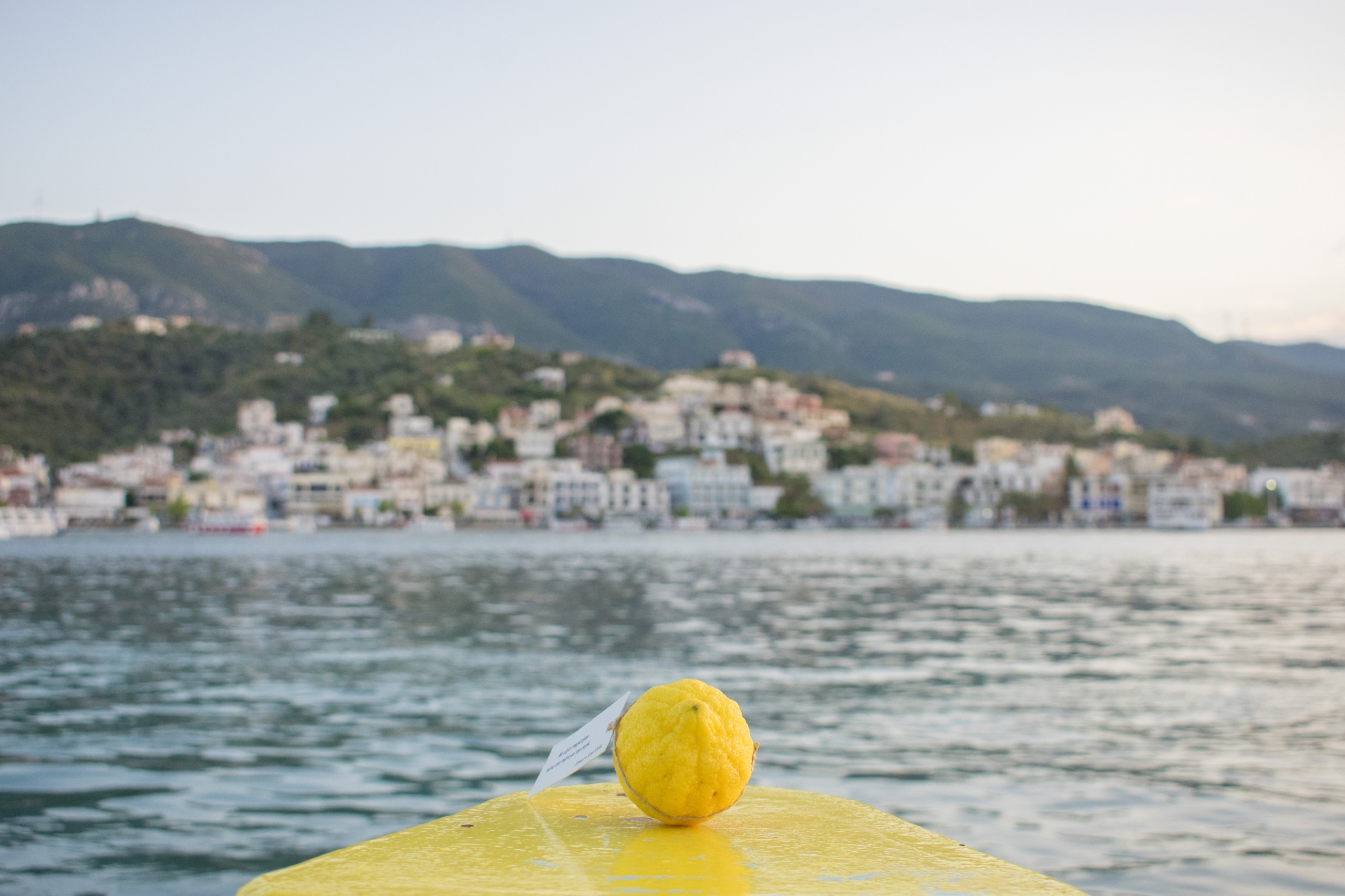 lemon- Μελαχρινός Βελέντζας