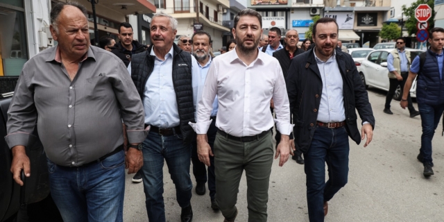 Νίκος Ανδρουλάκης