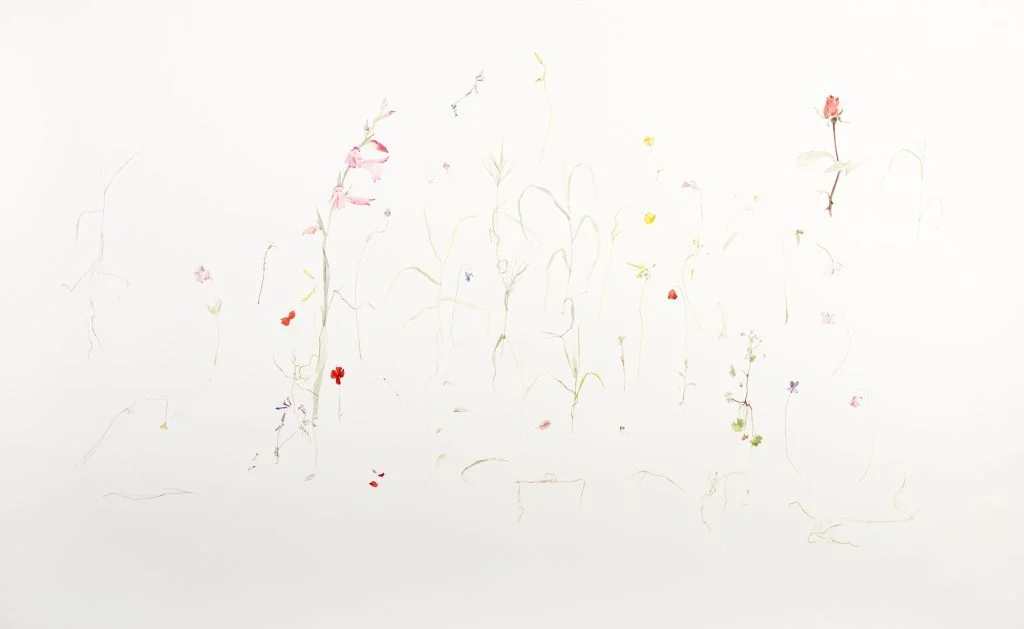 Παναγιώτης Κολουράς και "Η εποχή της μεταμόρφωσης"