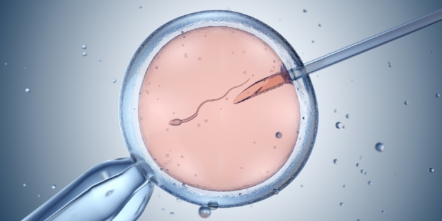 ivf