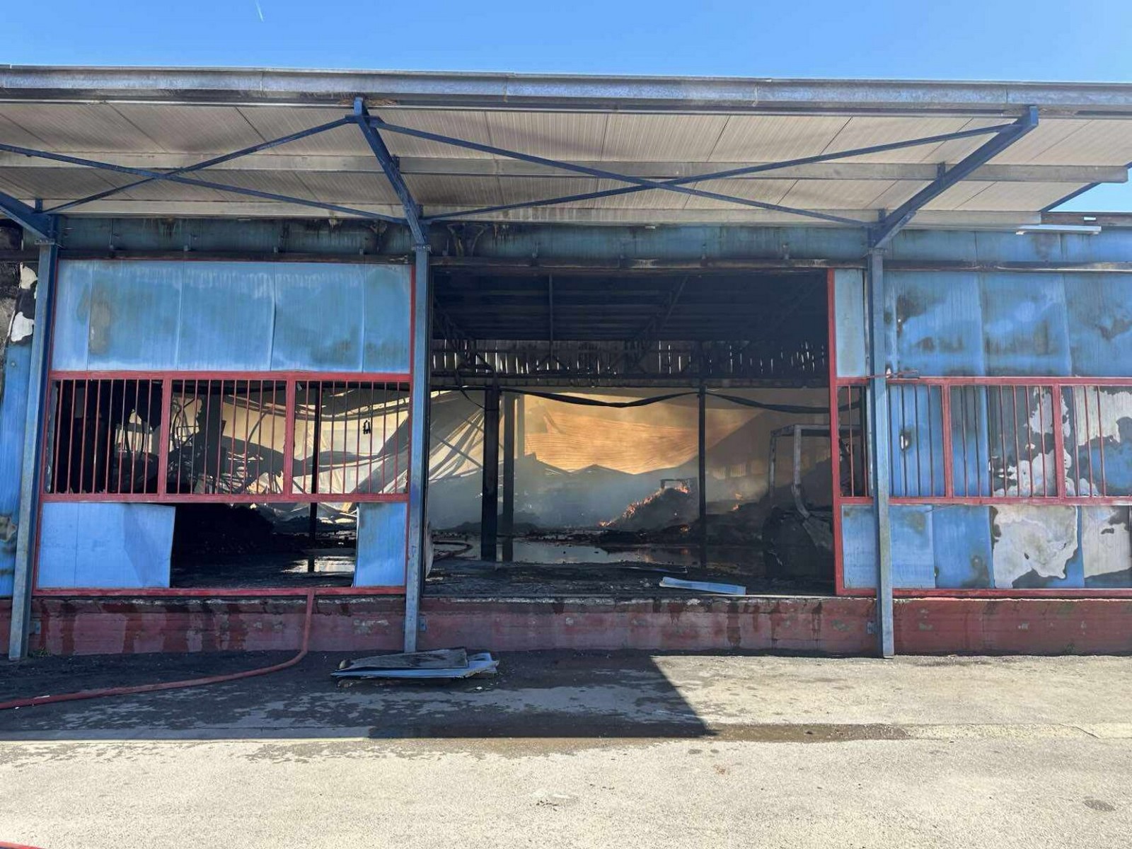 Φωτιά σε συσκευαστήριο εσπεριδοειδών στη Σκάλα Λακωνίας