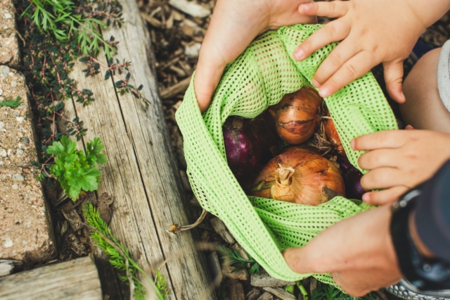 Βιωσιμότητα, zero waste και διατροφική δικαιοσύνη: Μια συζήτηση με την Γωγώ Δελογιάννη