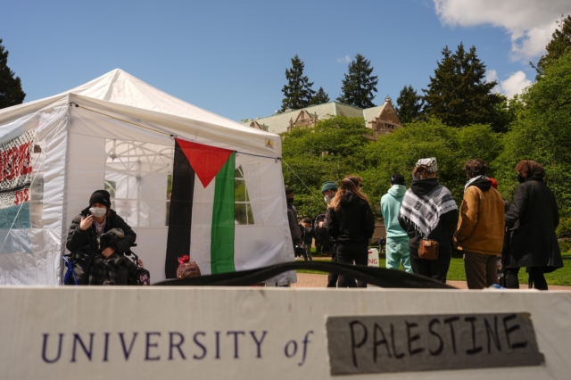Διαμαρτυρία υπέρ της Παλαιστίνης. Εικόνα αρχείου
